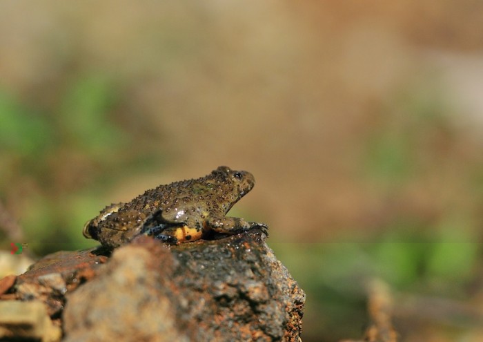 JPB_3902 [1024x768].JPG