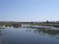 site marcageux