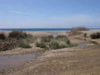 ttards, rivire et bord de mer!