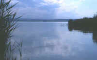 bords du lac1.jpg
