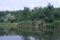 bords du lac