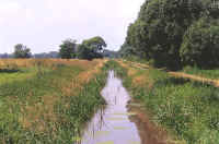 canal