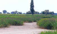 etang sec.jpg