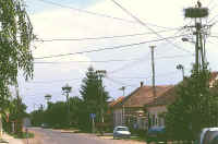 nids de cigogne