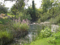 rivire