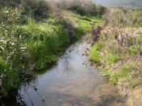 foss de ponte 