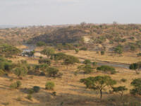 tarangireriver3.jpg