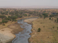 tarangireriver.jpg