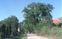 village hongrois.jpg